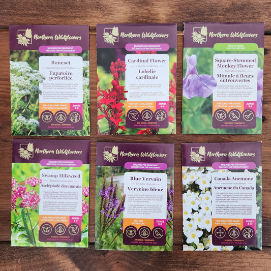 Northern Wildflowers seed collection for rain garden.